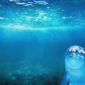 merisa(メリサ)の気になる相手の気持ち鑑定は当たる？ココナラ占い体験談